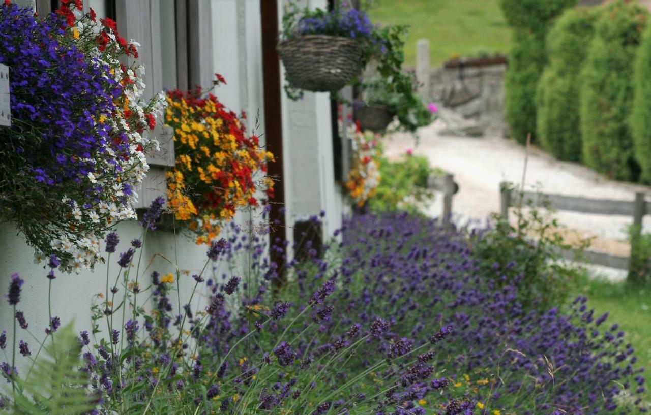 Lavendowo Hotel Piechowice  Bagian luar foto